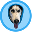 DOGWIFHOOD logo