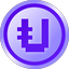 $PUNK logo