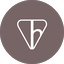 Hipo Staked TON logo